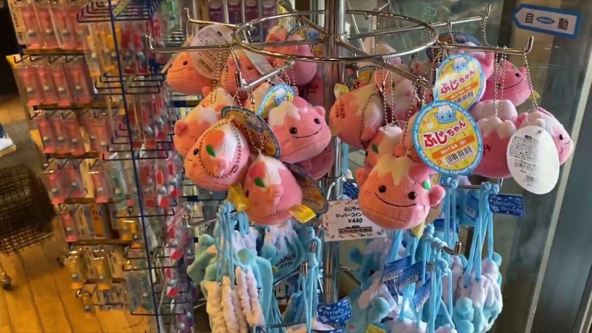 HOW TO TRAVEL FROM TOKYO TO MT. FUJI🏔️🇯🇵