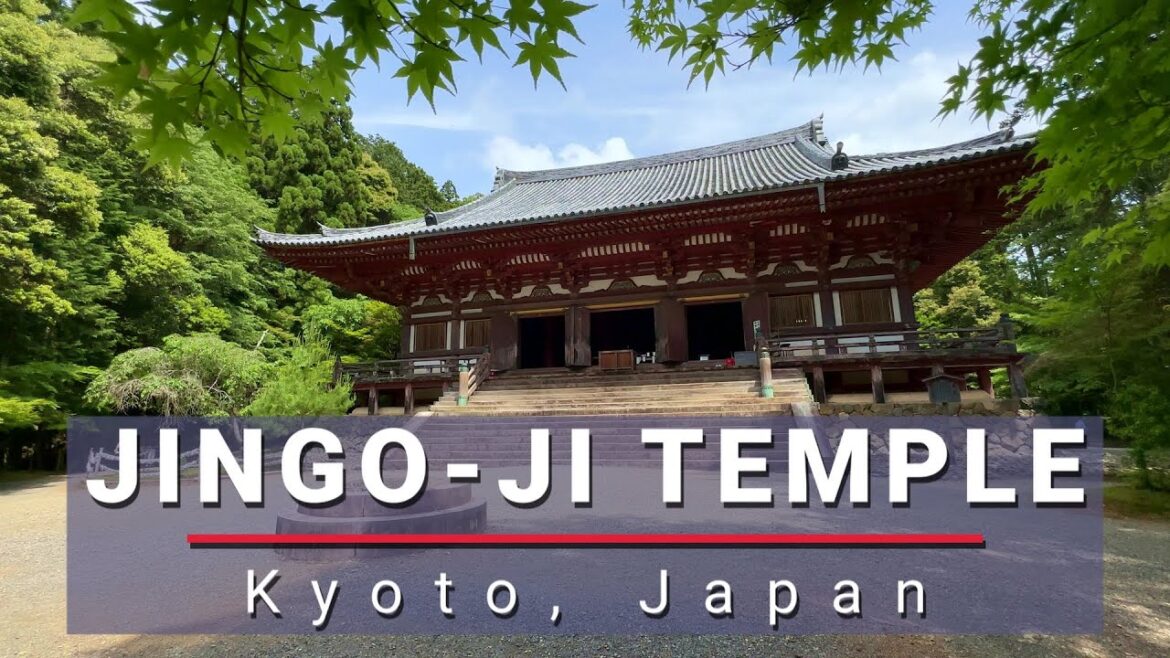 Exploring the Mystical Jingo-ji Temple in Kyoto, Japan [No Commentary]