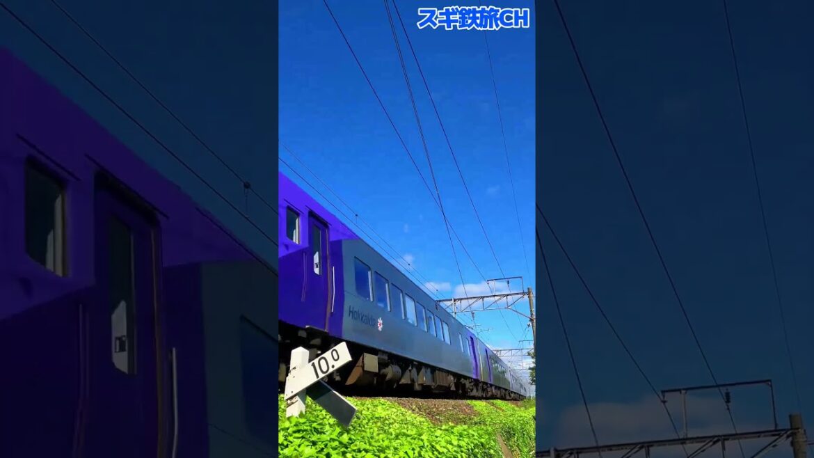 華麗なる並走で列車が高速通過【789系1000番台とキハ261系5000番台】JR北海道　2023年5月撮影