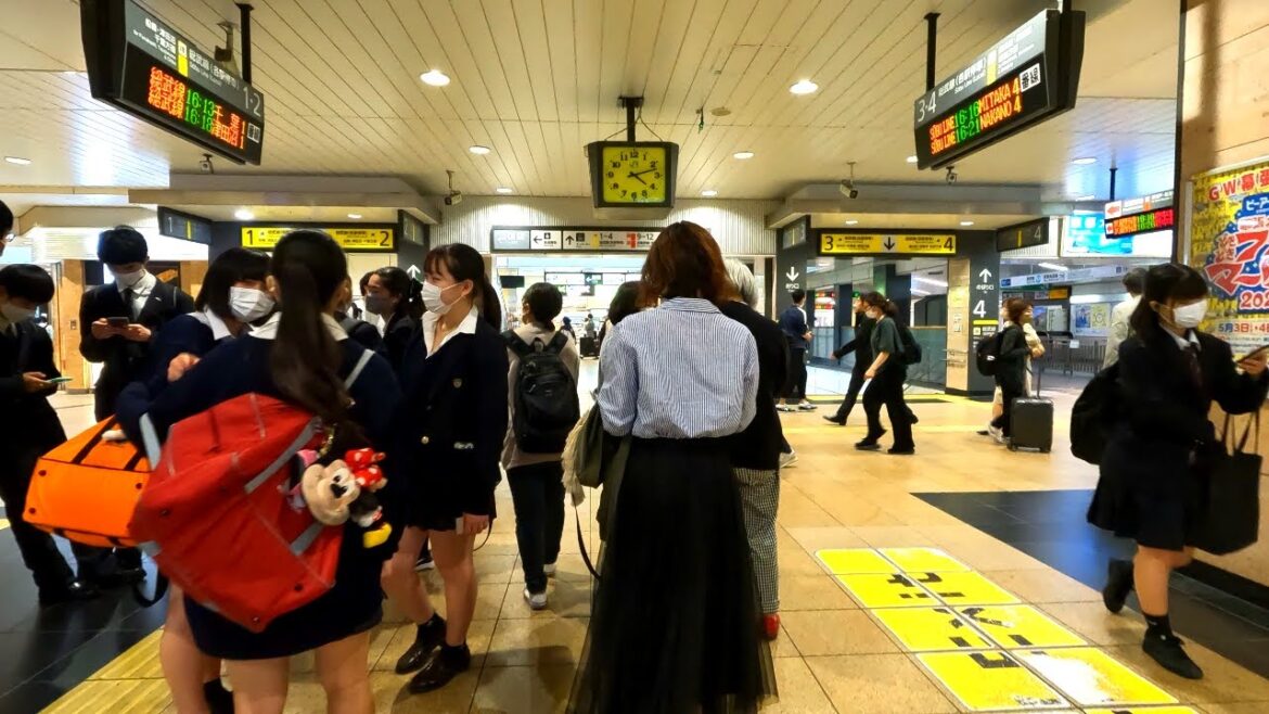 【4K60】西船橋駅を散歩！ラッシュの前だがめっちゃ混む！