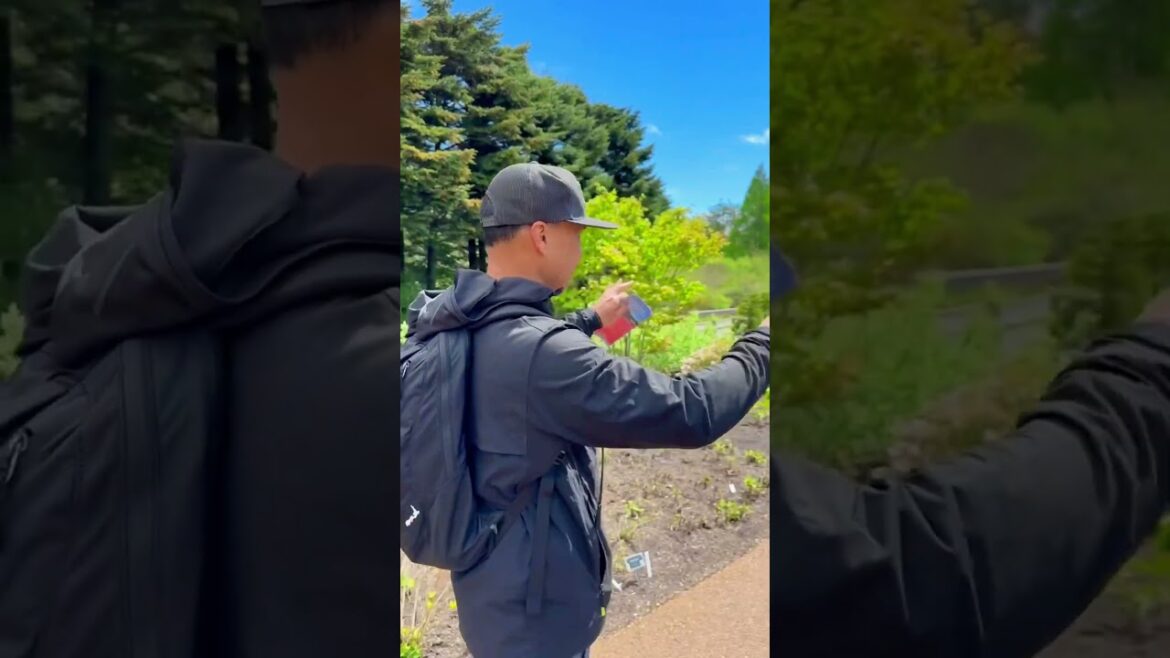 Breathtaking view of Mt. Fuji in the backdrop! #japan Breathtaking view of Mt. Fuji in the backdrop! #japan