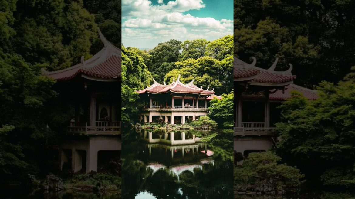 Japan 😳     #nature #beautiful #travel #shorts #short