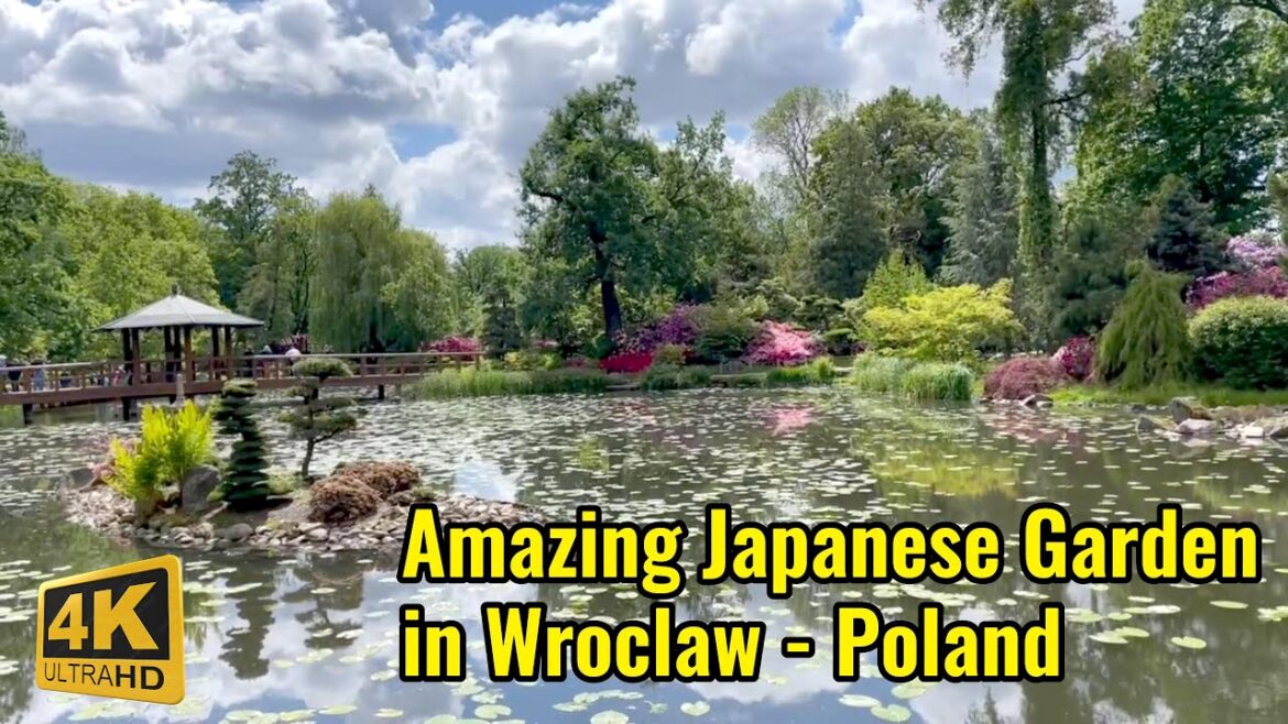 Explore Beautiful Japanese Garden in Wroclaw - Poland [4K Video]
