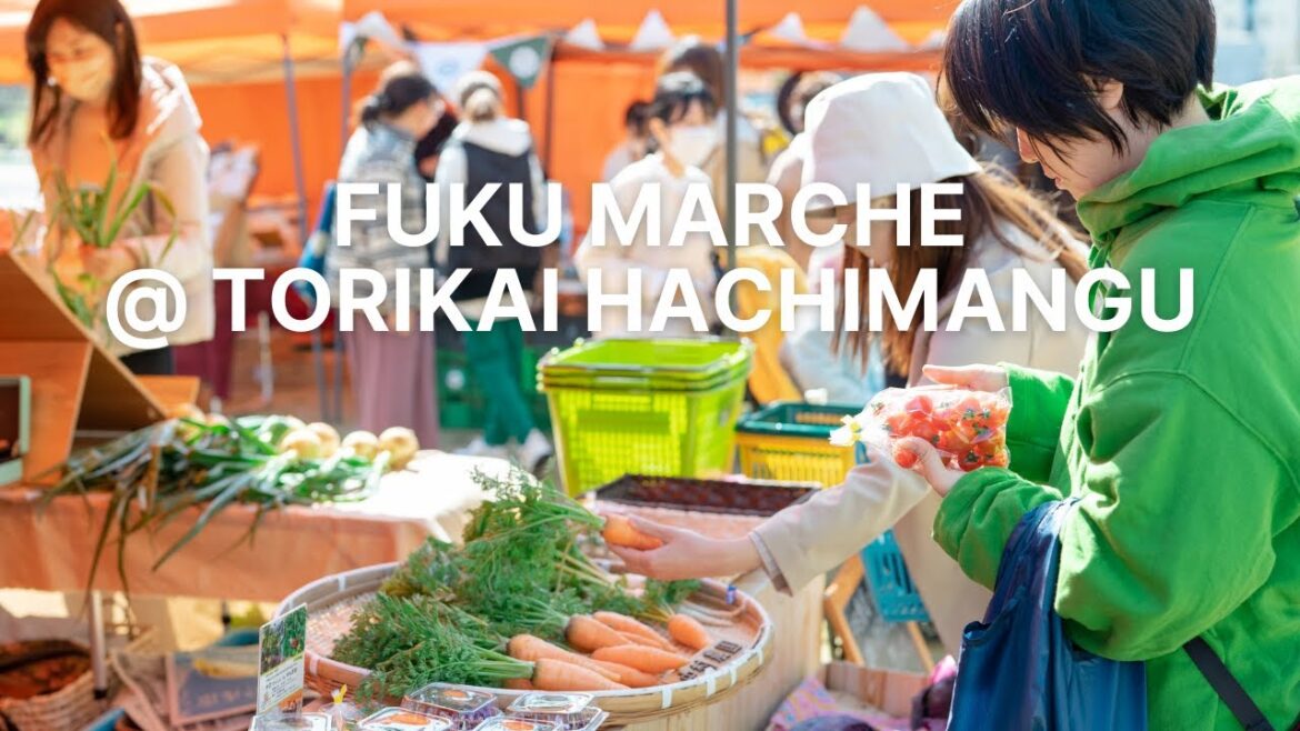 Farmers' Market at Torikai Hachimangu Shrine in Fukuoka  / 福マルシェ - Live Stream Japan