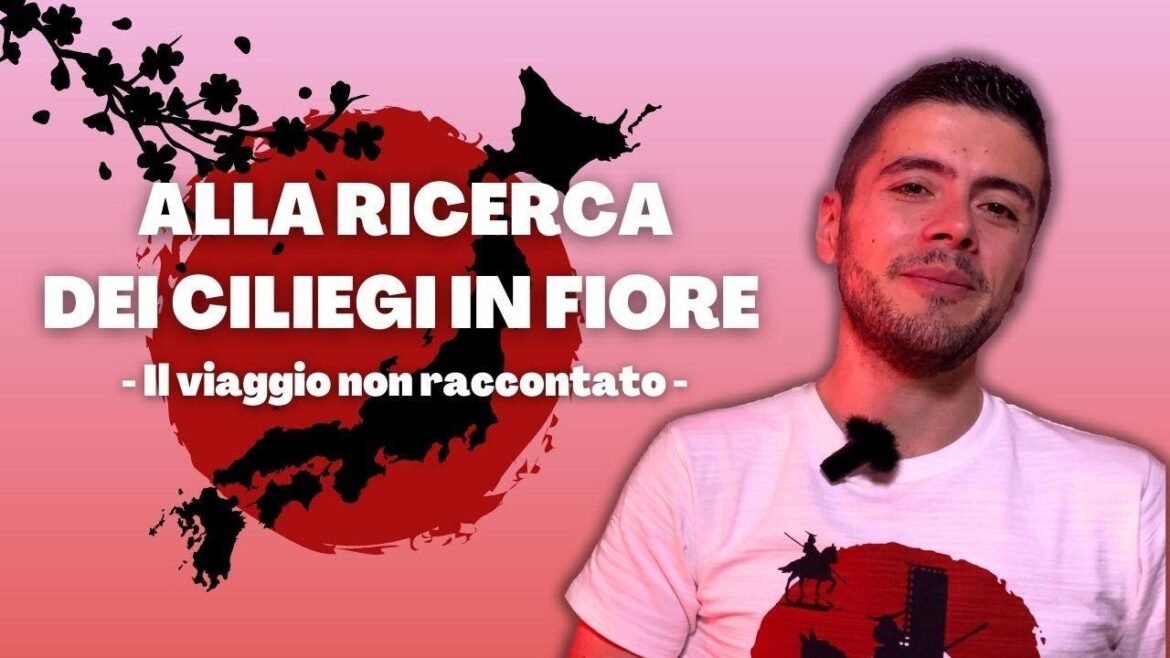 ALLA RICERCA DEI CILIEGI IN FIORE π―π΅ Il viaggio non raccontato ALLA RICERCA DEI CILIEGI IN FIORE π―π΅ Il viaggio non raccontato