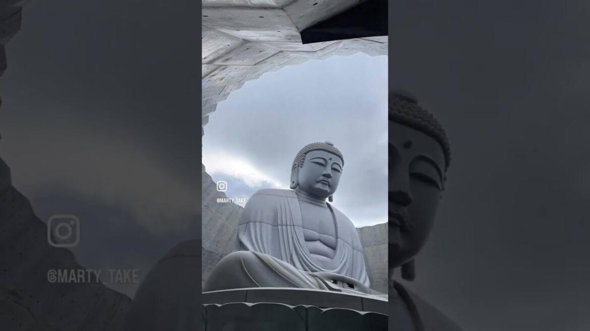 Hokkaido Trip DAY2 in Sapporo #japantravel #vlog