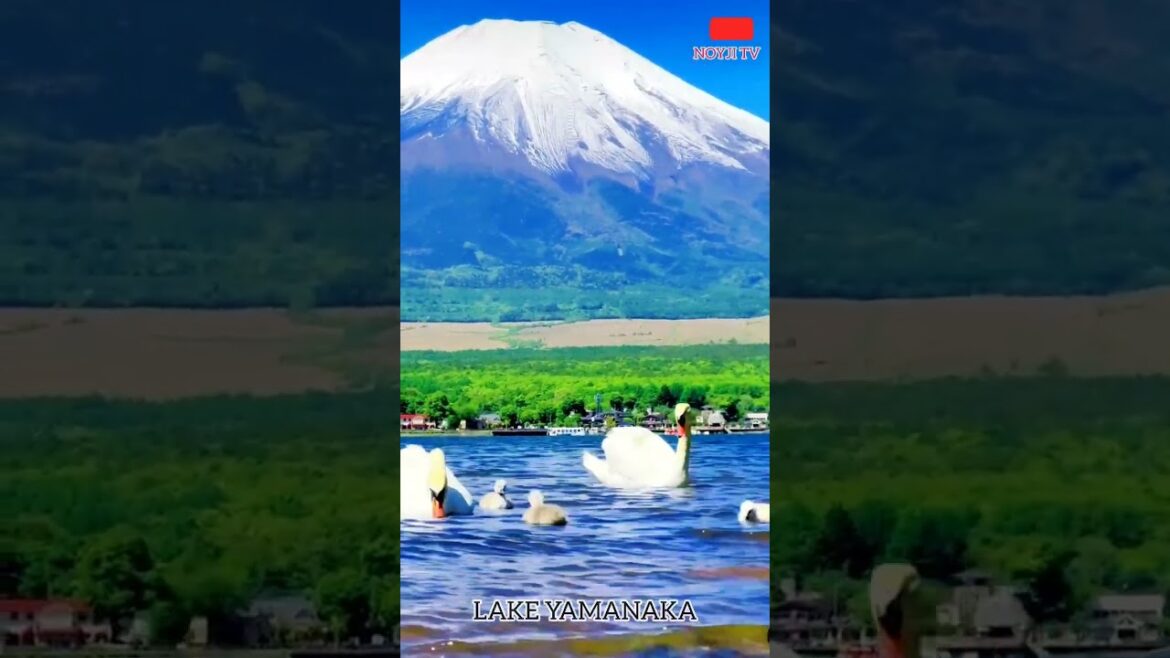 LAKE YAMANAKA | SHORTS @NOYJITV