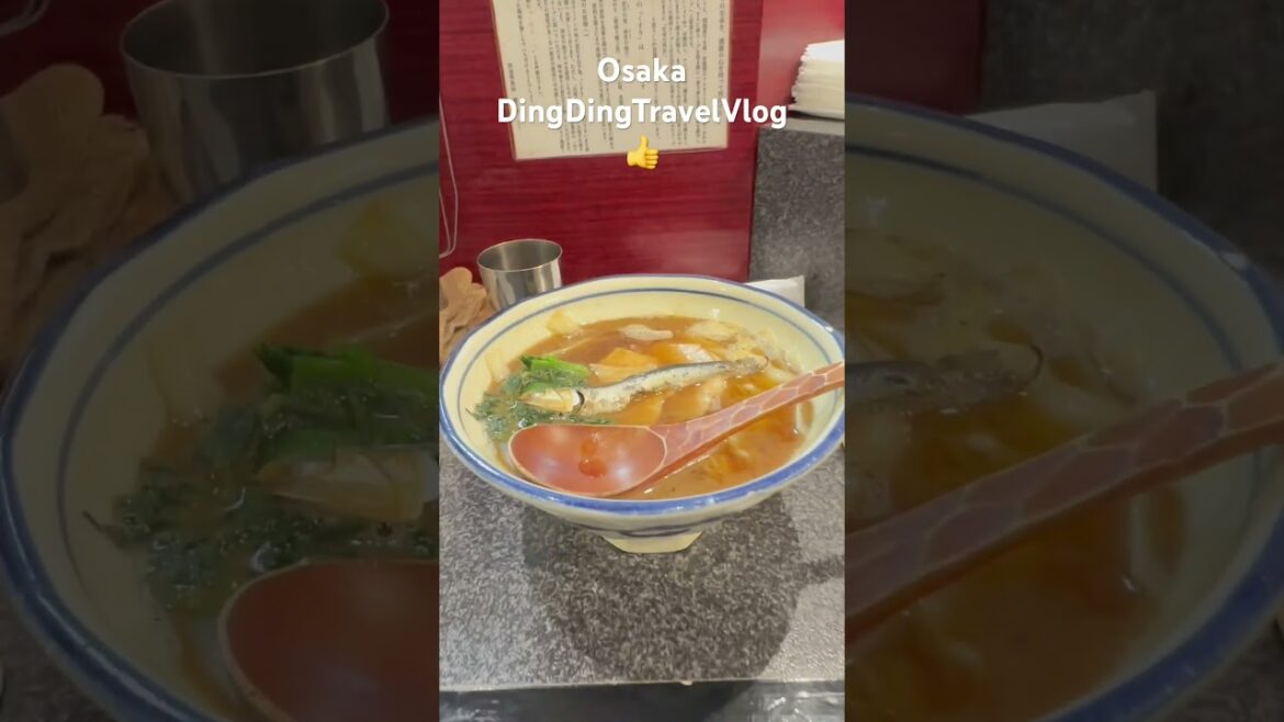 #3 #youtubeshorts #Japanese #Ramen at Osaka Ressishoyu Menkobo Sanku #asmr #dingdingvlog #shorts #3 #youtubeshorts #Japanese #Ramen at Osaka Ressishoyu Menkobo Sanku #asmr #dingdingvlog #shorts