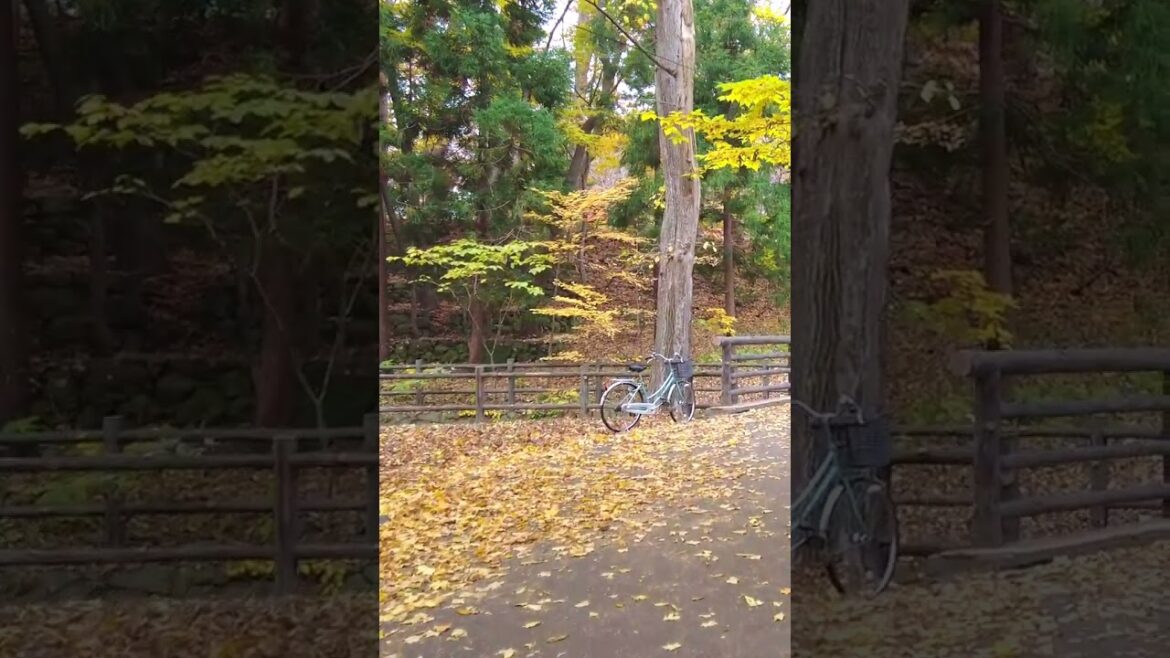 Maruyama Park Sapporo Hokkaido Maruyama Park Sapporo Hokkaido