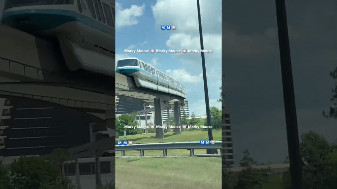 #monorail #contemporary #resort #travel #train #tunnel #bridge #road #street #driving #best #shorts