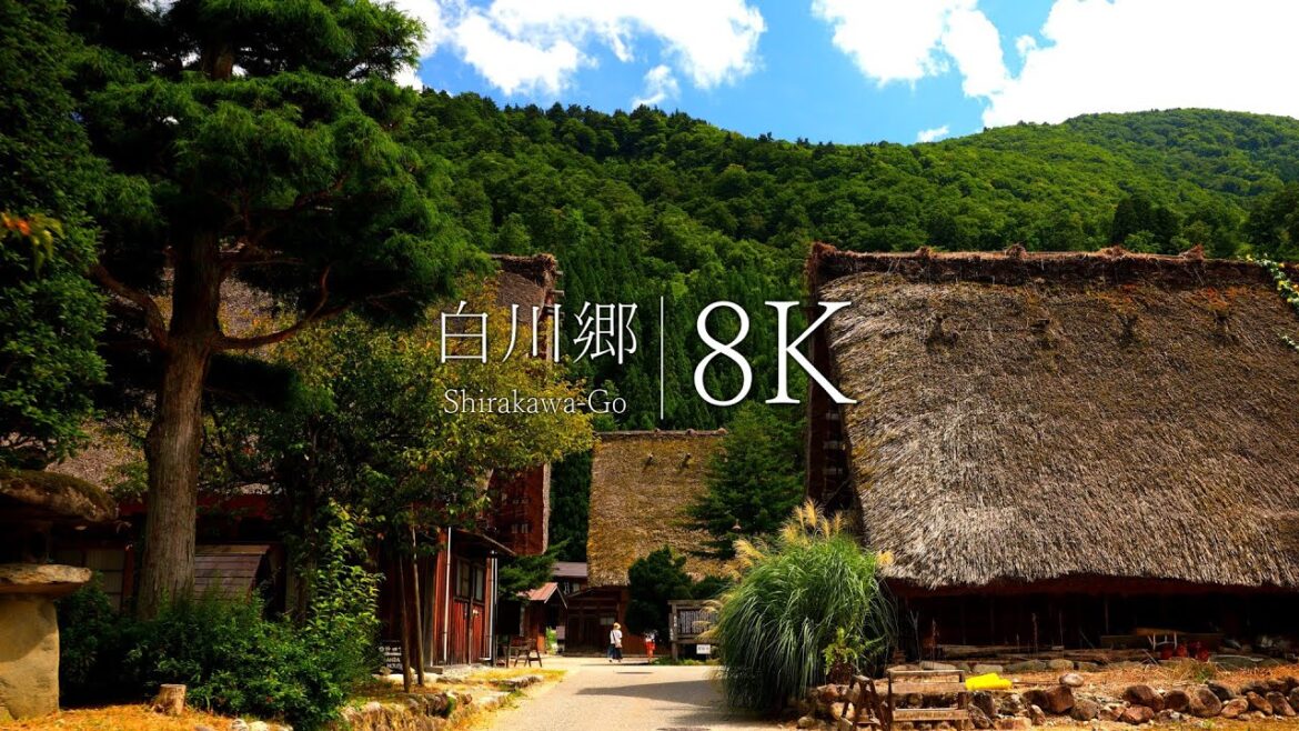 【白川郷 春夏秋冬】日本三大秘境の絶景を訪ねて – JAPAN in 8K 【白川郷 春夏秋冬】日本三大秘境の絶景を訪ねて - JAPAN in 8K