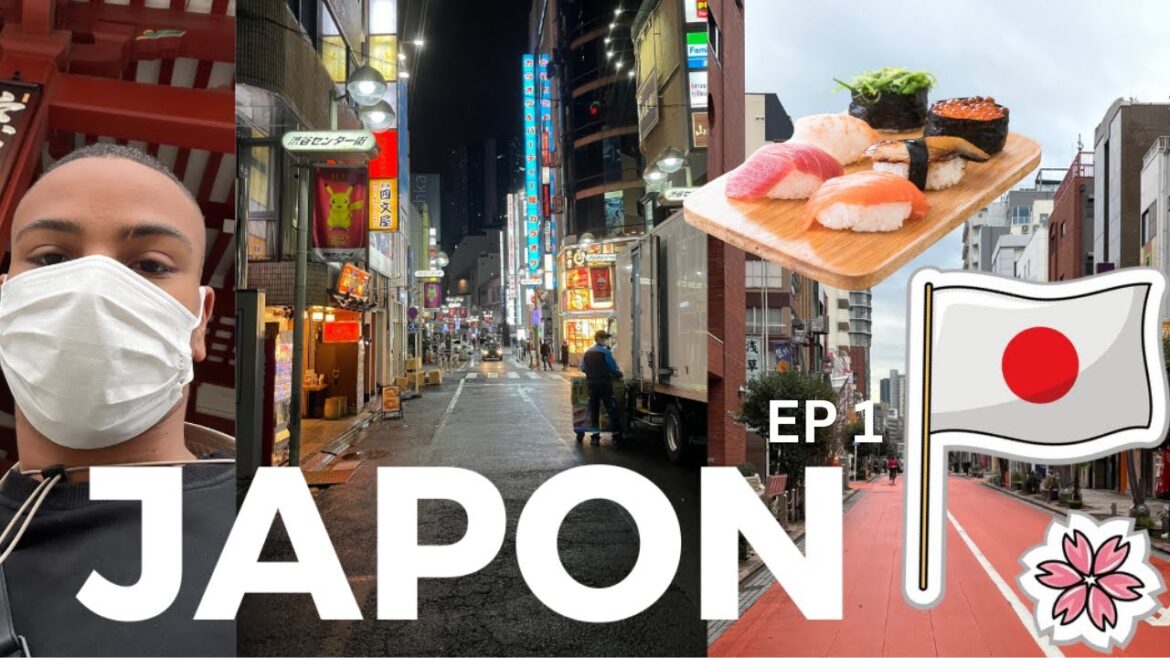 A LA DECOUVERTE DE TOKYO  ! VLOG JAPON