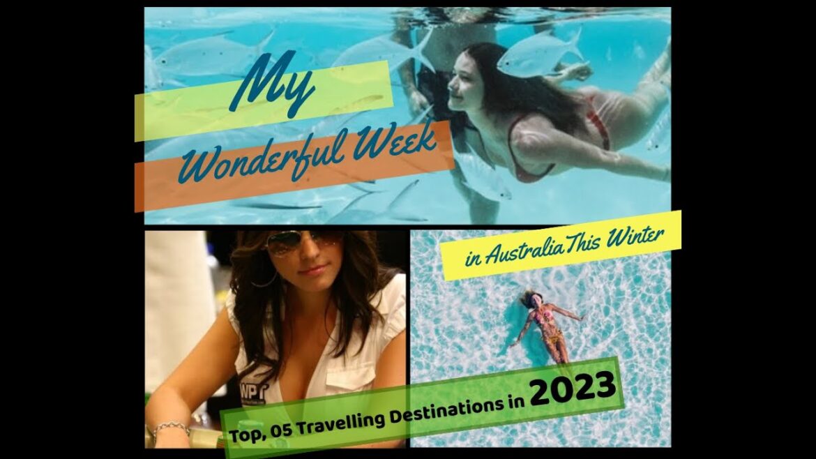 Travelling | Vocations | Exploring World  in 2023: #youtubevideo #ytube #travel