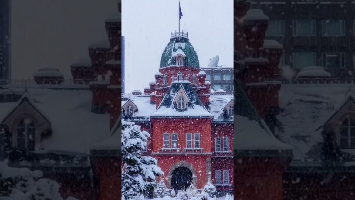 Lost in the enchanting beauty of Hokkaido 🌸✨ #hokkaido #short #shortsvideo