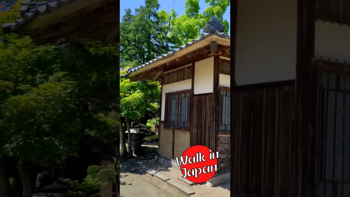 Old Japanese Buildings are Amazing #shorts