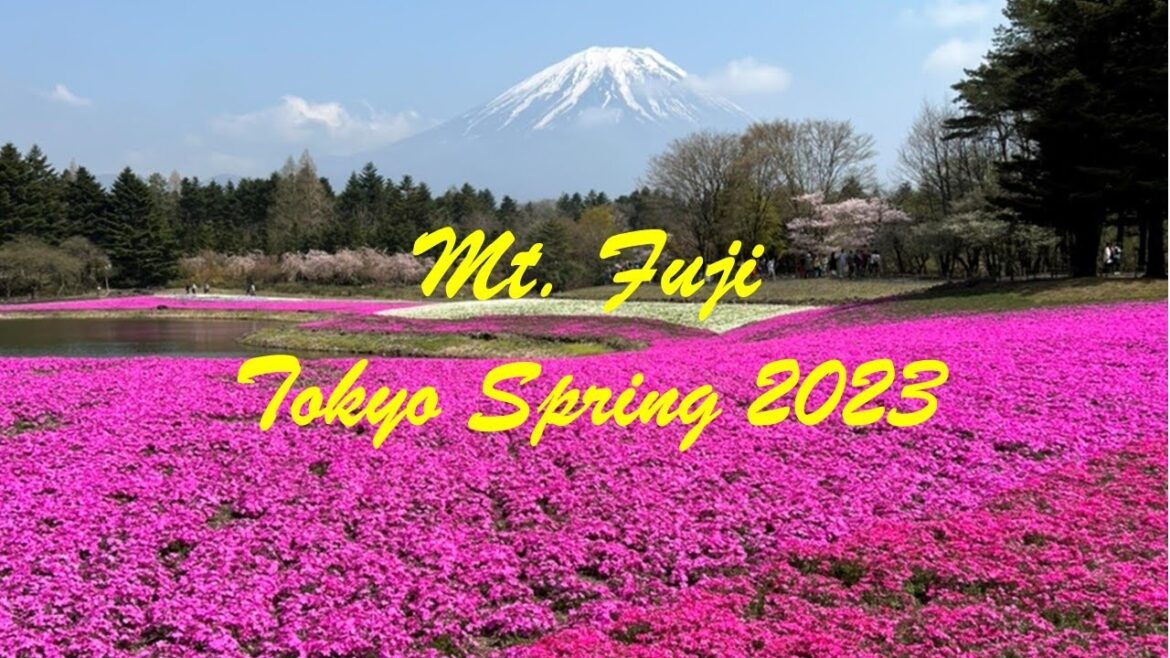 Mt. Fuji Experience | Tokyo Spring April 2023