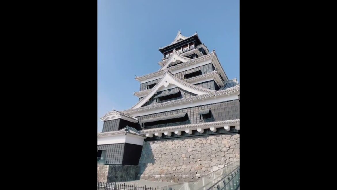 みんな大好き【熊本城】Everyone loves Kumamoto Castle #shorts みんな大好き【熊本城】Everyone loves Kumamoto Castle #shorts