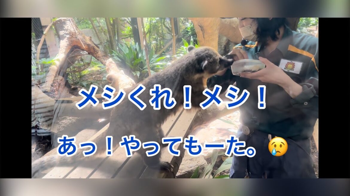 飯くれ！飯！あっ！やってもーた。ズーラシア　Zooraisia in Yokohama
