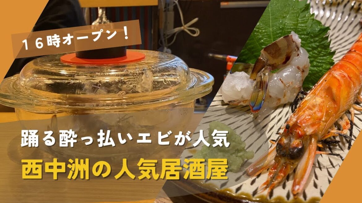 【🇯🇵 福岡グルメ】16時オープン！踊る酔っ払い海老♪西中洲の人気居酒屋！｜西中洲｜居酒屋｜すう。 [ENG]