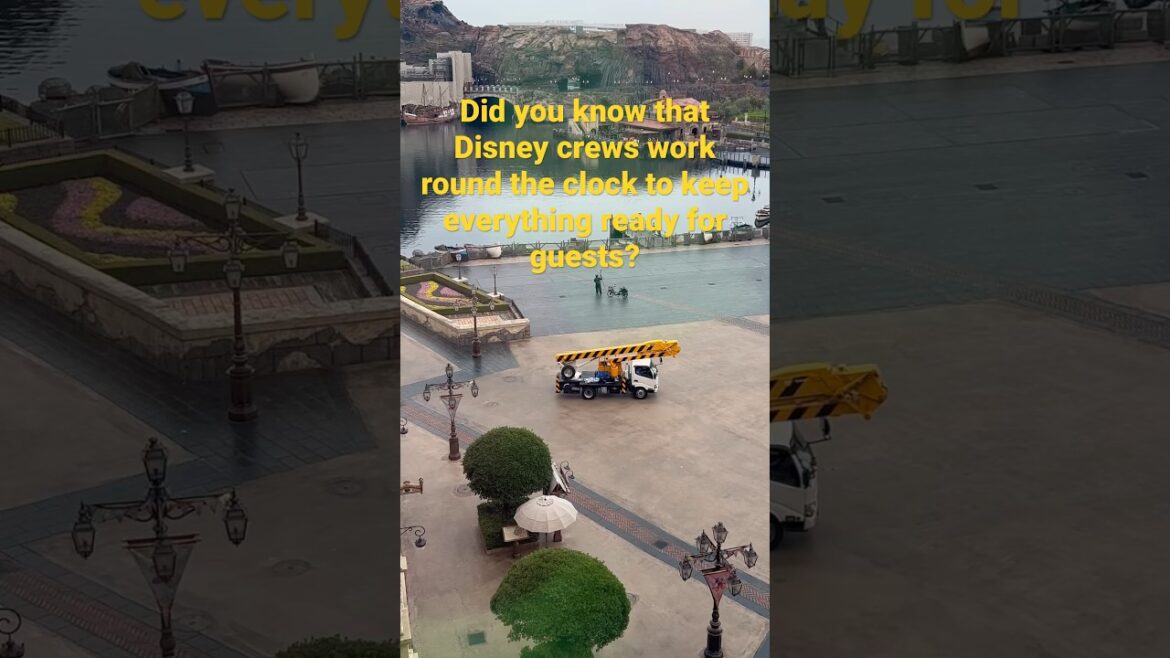Getting the park ready! #behindthescenes #disneysea #shorts #fyp #youtubeshorts #disneyland #tokyo Getting the park ready! #behindthescenes #disneysea #shorts #fyp #youtubeshorts #disneyland #tokyo