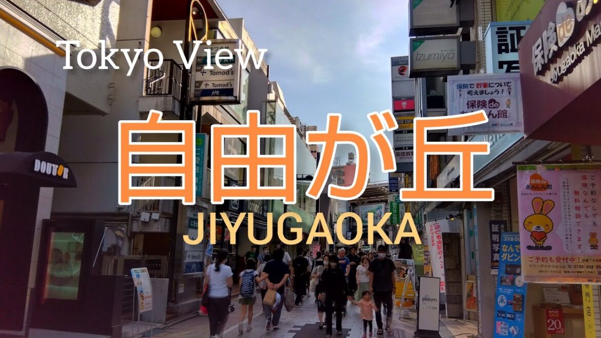 【4K】自由が丘を散策 Jiyugaoka Walking Tour – Tokyo Japan 【4K】自由が丘を散策 Jiyugaoka Walking Tour - Tokyo Japan