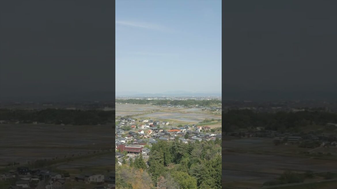 Drone x Japan - Niigata Prefecture #japan #shorts