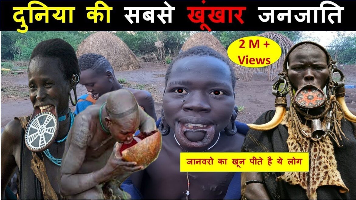 Most Dangerous Tribe In The World, MURSI TRIBE | Ethiopia Tribes | Lip Plate | Hindi Most Dangerous Tribe In The World, MURSI TRIBE | Ethiopia Tribes | Lip Plate | Hindi