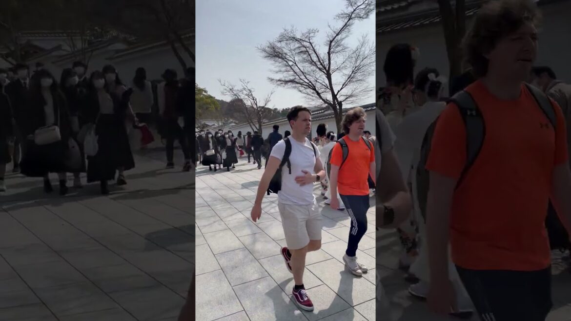 Entering Fushimi Inari Taisha in Kyoto, Japan:  Little Did We Know Our Experience About To Unfold