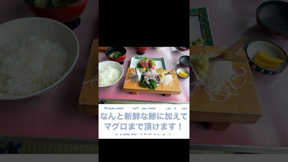 【沼津vlog】活き鯵定食のアジの活きが良過ぎた件【旅館　浜の家さん】#沼津 #旅行 #vlog #ラブライブ #聖地巡礼 #内浦 #静岡 #刺身 #ランチ #shorts #short