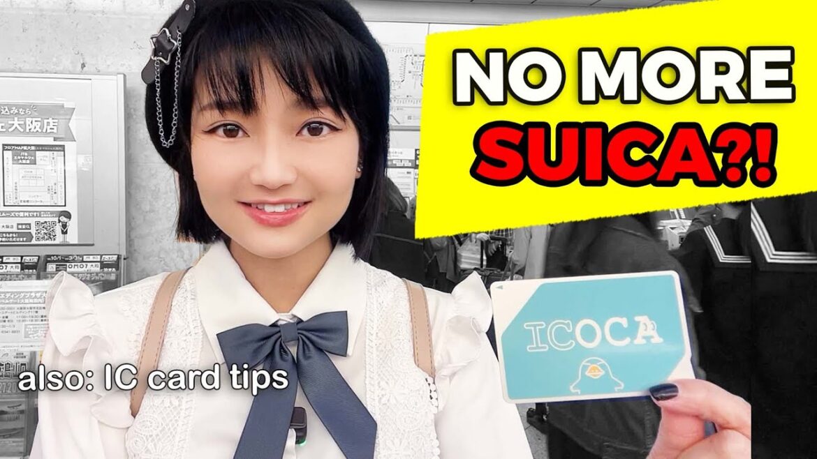 UPDATE: JUNE 8th Suica Suspension 2023!