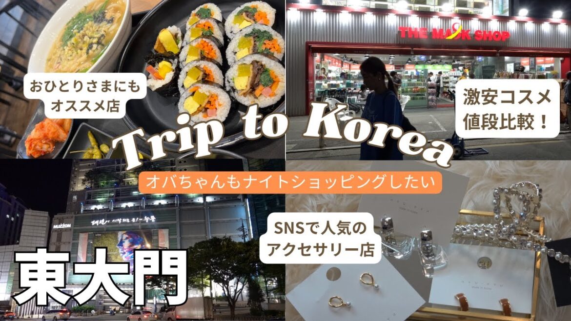 オトナ旅【東大門まるわかり/支払い方法も!】SNSで人気のコスメ&アクセ / 激推しグルメ / #korea #韓国 #ソウル #seoul オトナ旅【東大門まるわかり/支払い方法も!】SNSで人気のコスメ&アクセ / 激推しグルメ / #korea #韓国 #ソウル #seoul