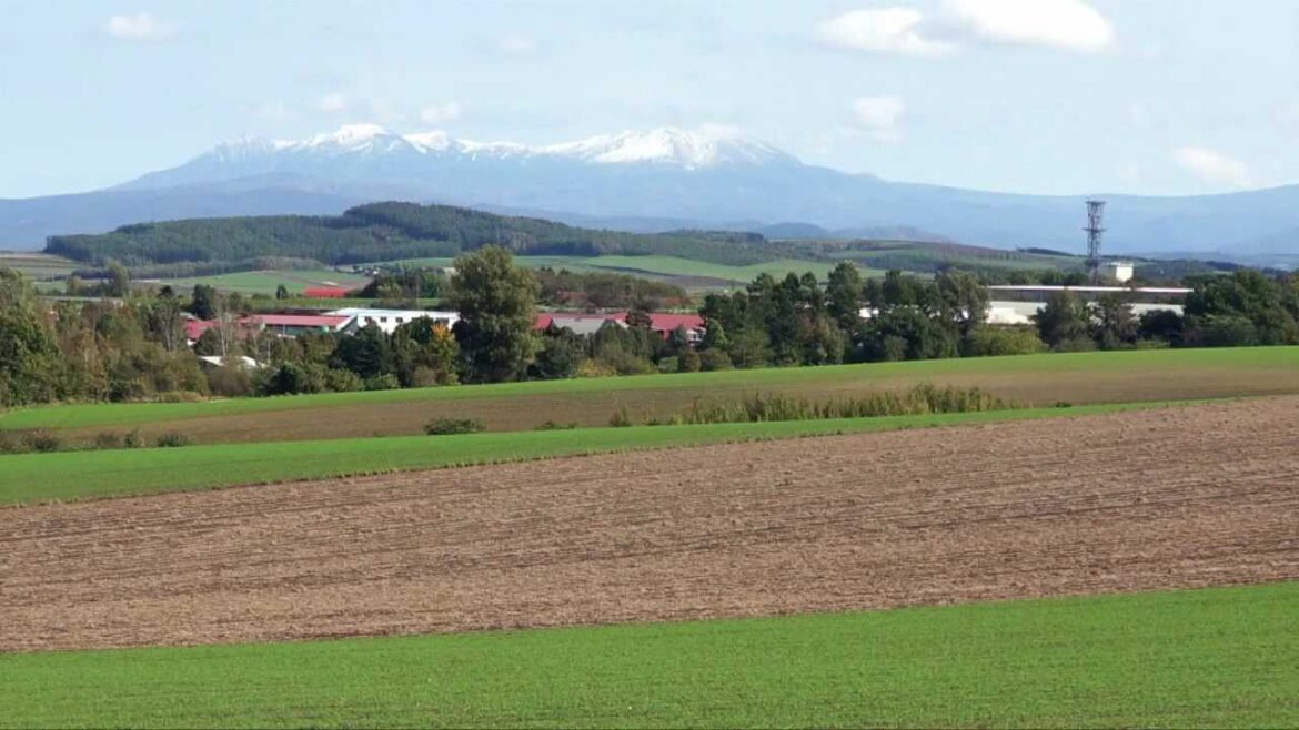 北海道　富良野の10月