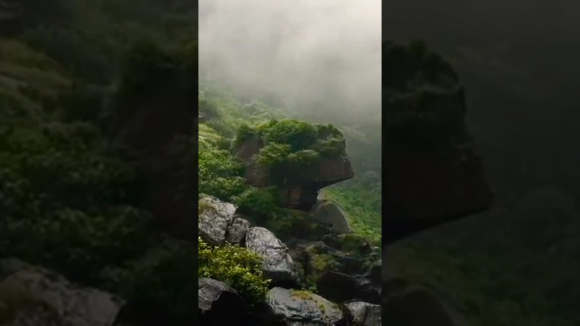 #shorts | We feel that climate naturally | #youtubeshorts 🤩😍 #short