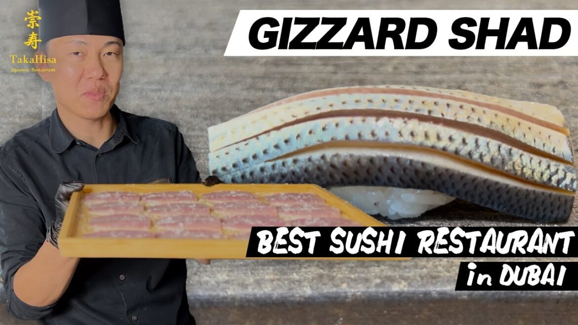【KOHADA GIZZARD SHAD SUSHI】TakaHisa The Best Japanese Restaurant in Dubai 【KOHADA GIZZARD SHAD SUSHI】TakaHisa The Best Japanese Restaurant in Dubai
