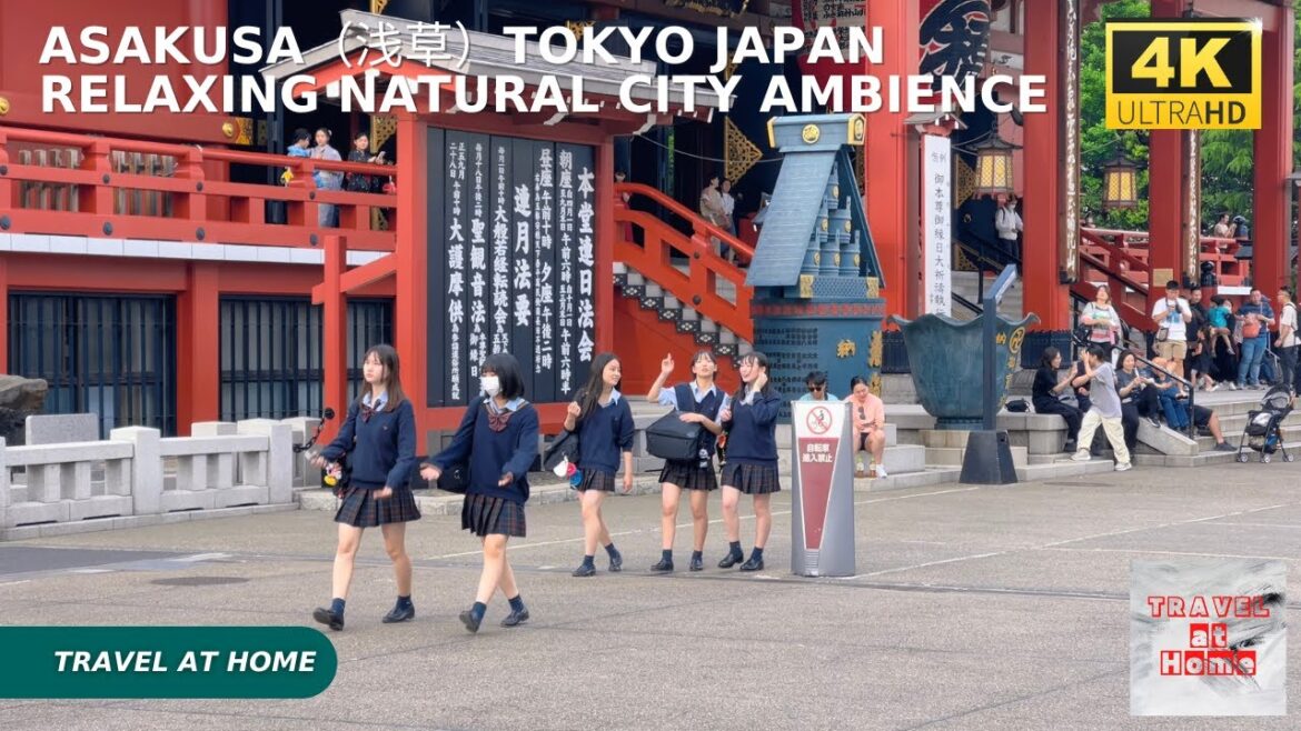 4k hdr japan travel | Walk in Asakusa（浅草）Tokyo japan |  Relaxing Natural City ambience