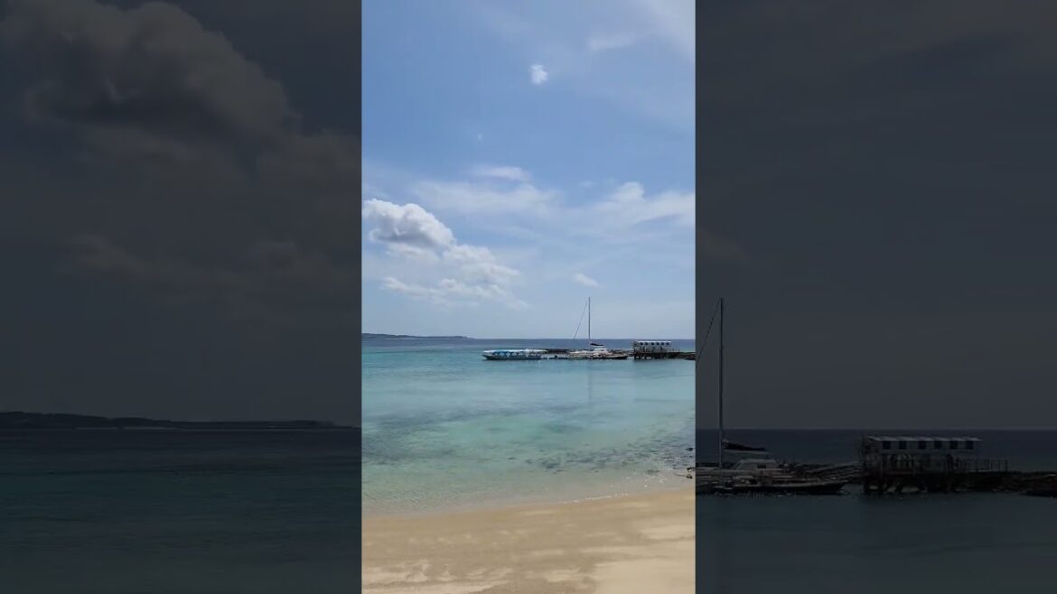 ブセナ海中公園のビーチ #shorts