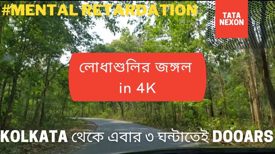 | Lodhasuli Jungle | Lodhasuli Forest Bungalow | লোধাশুলি জঙ্গল | Jhargram |  Tata Nexon Road Trip |