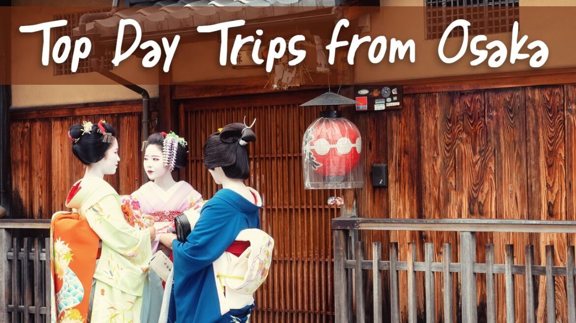 Top 3 Best Day Trips from Osaka 2023 Top 3 Best Day Trips from Osaka 2023
