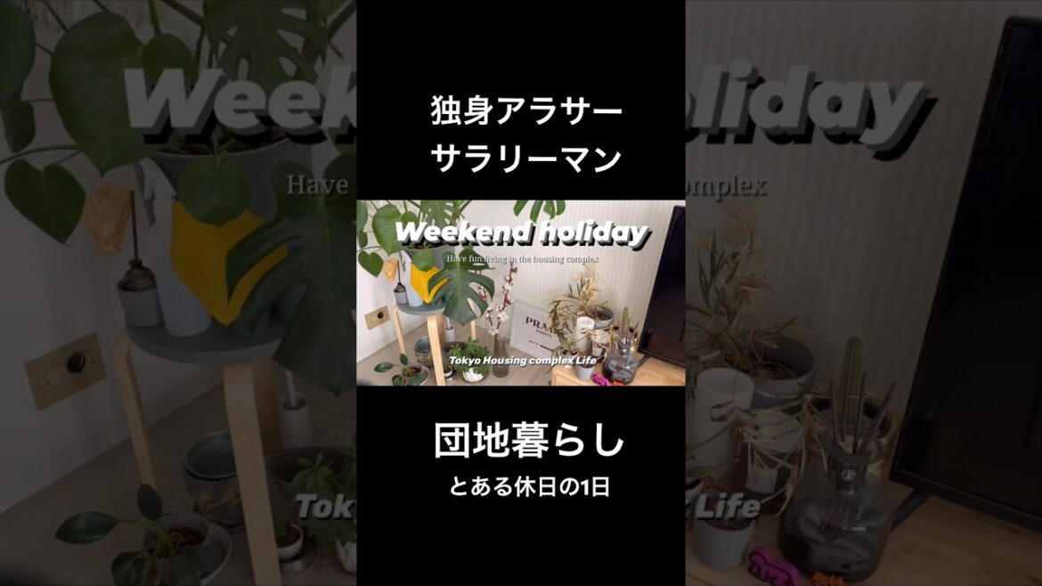 とある休日の1日