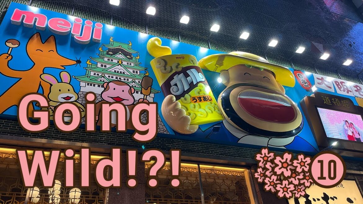 Going Wild in Japan! Visiting Osaka and Nara | Let’s go to Japan – Travel Vlog 2023 Going Wild in Japan! Visiting Osaka and Nara | Let's go to Japan - Travel Vlog 2023