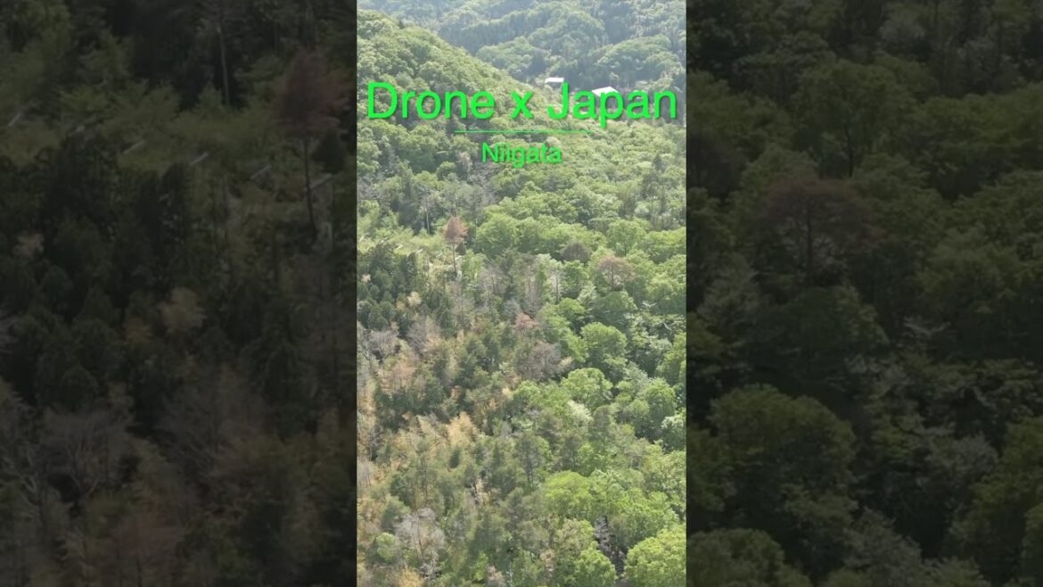 Drone x Japan – Niigata #shorts #japan Drone x Japan - Niigata #shorts #japan