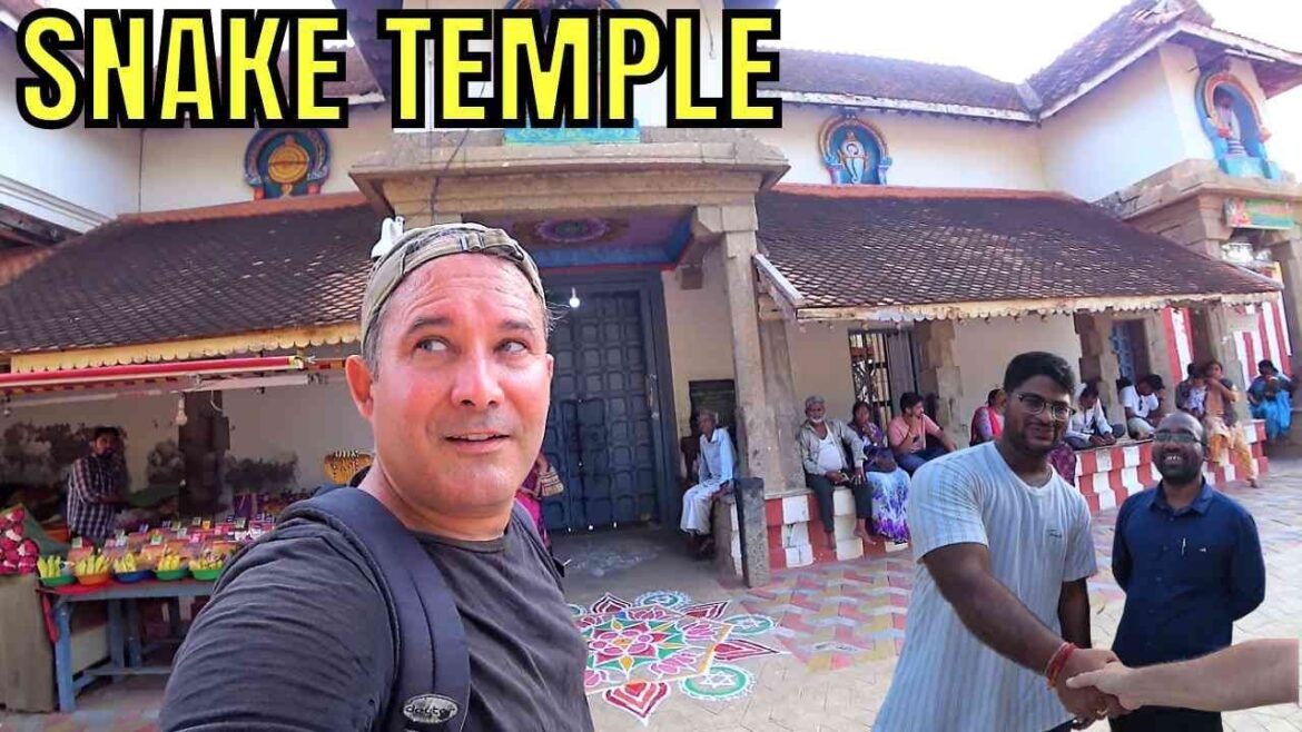 THIS IS THE BIGGEST SNAKE TEMPLE IN THE WORLD 🇮🇳