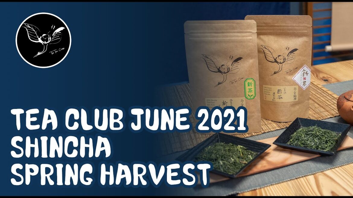 The Shincha Spring Harvest Season | The Tea Crane Tea Club June 2021
