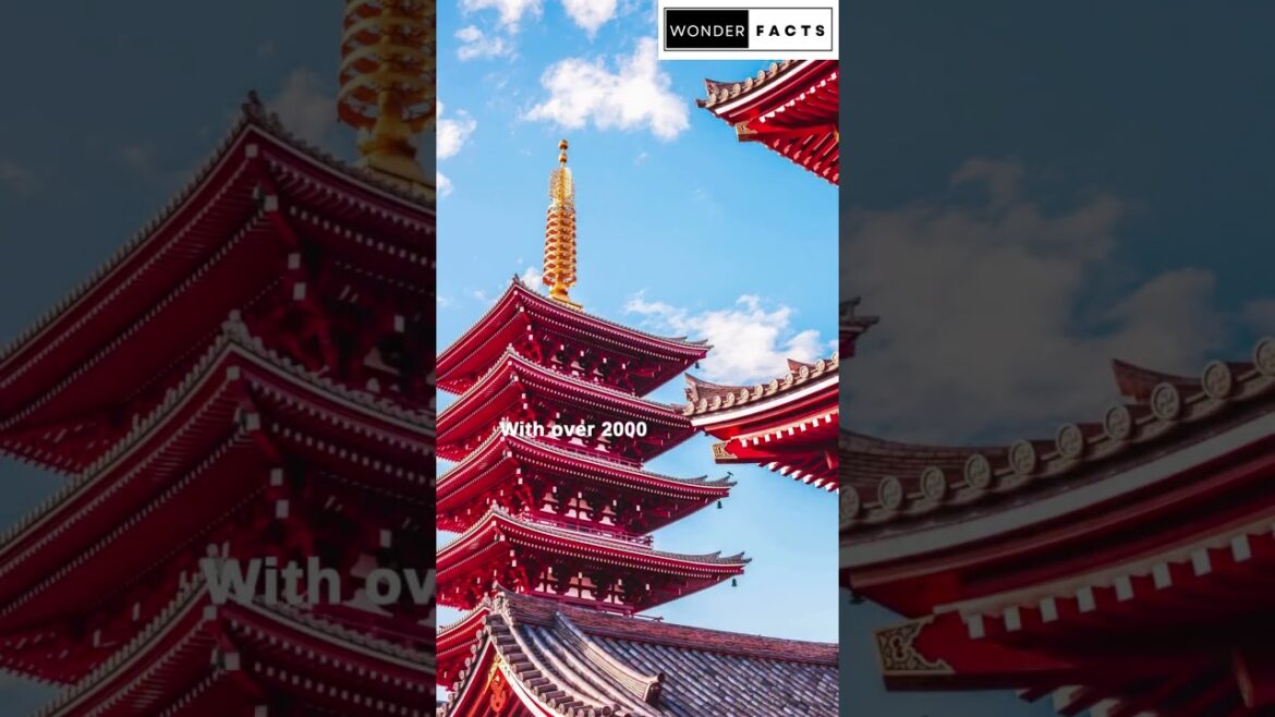 Kyoto: Embracing the Timeless Beauty of Japan's Cultural Gem