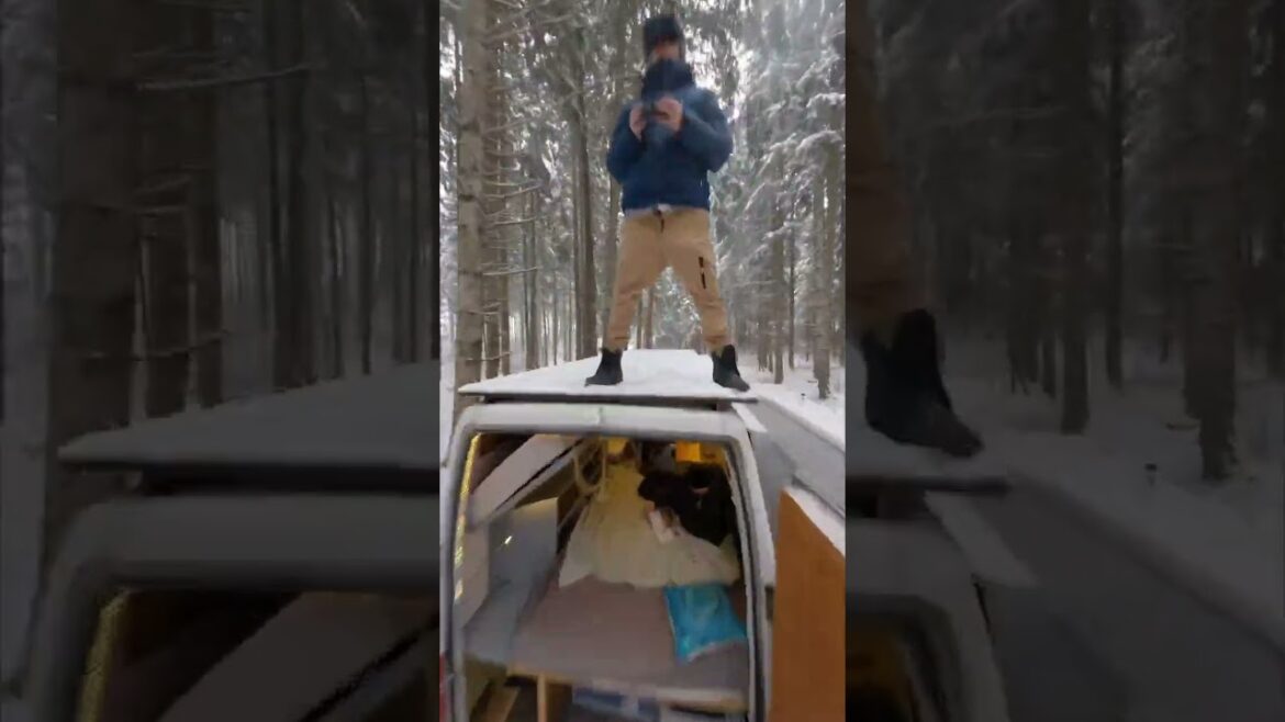 Trees are one of the best CO2 stores on our planetand #LetsGreenThePlanet #wegrowtrees #shorts Trees are one of the best CO2 stores on our planetand #LetsGreenThePlanet #wegrowtrees #shorts