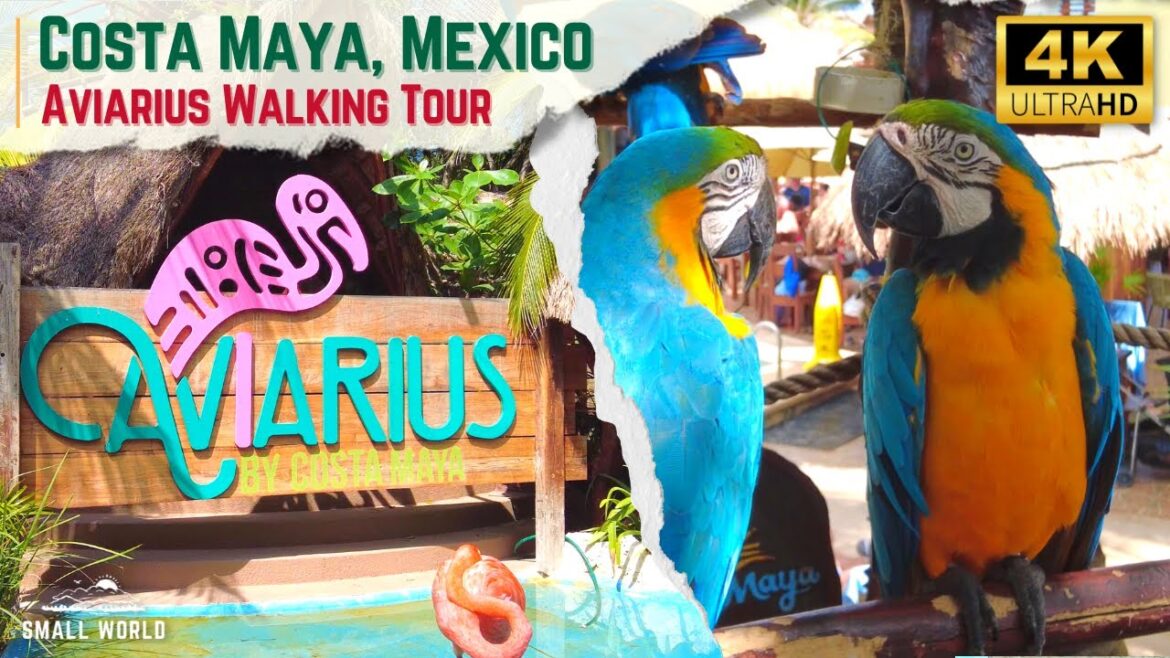 Costa Maya, Mexico | Aviarius (Bird Aviary) - 4K Port Shore Excursion Walking Tour