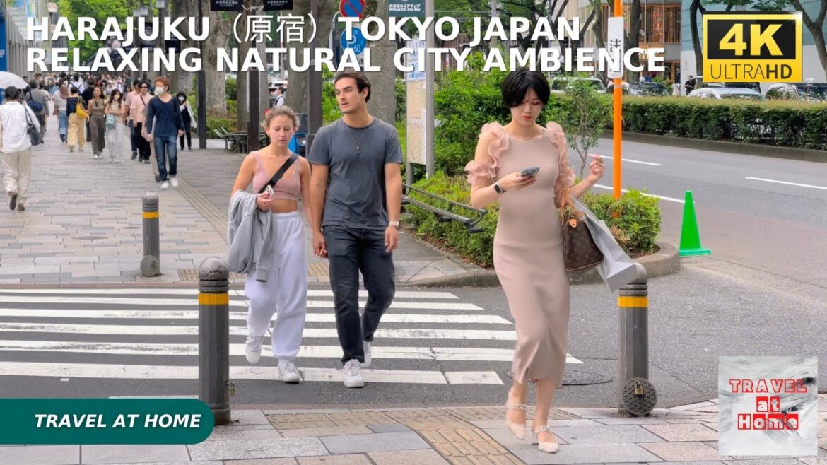 4k hdr japan travel | Walk in Harajuku（原宿）Tokyo japan |  Relaxing Natural City ambience