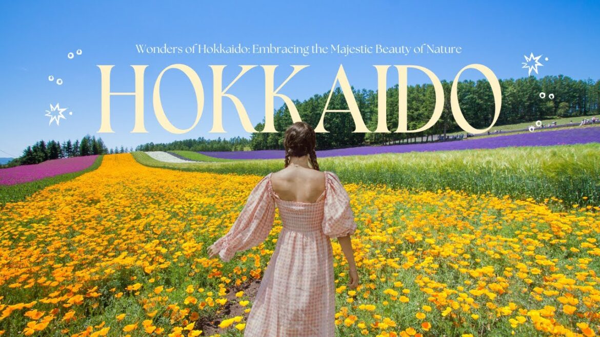 The Wonders Of Hokkaido: Embrace The Majestic Beauty Of Nature In 4k The Wonders Of Hokkaido: Embrace The Majestic Beauty Of Nature In 4k