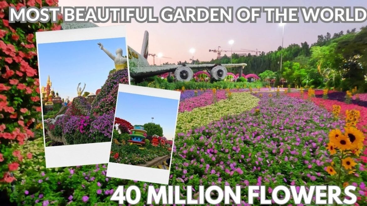 Miracle Garden Dubai 4K UHD walking tour 2023