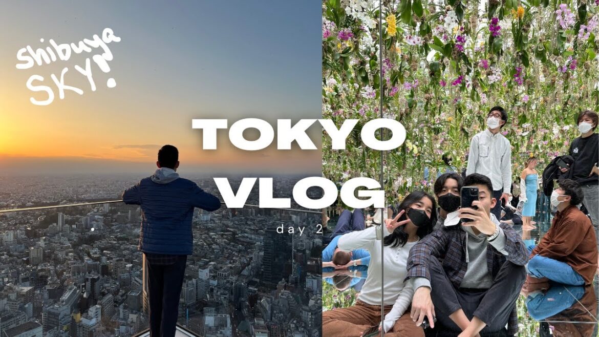 tokyo japan vlog 🇯🇵 | teamLab planets tokyo, shibuya sky, best hotel buffet breakfast (day 2)